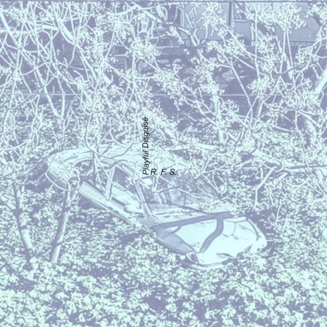 Playful Disguise cover art
