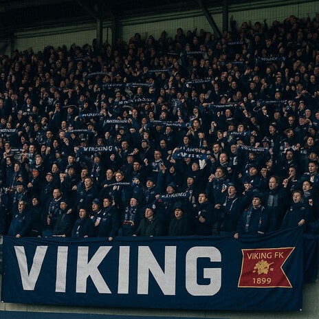 Seriegull 2025 (Viking) cover art