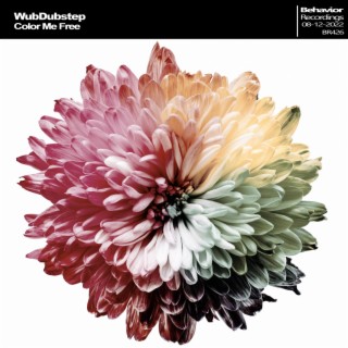 Color Me Free (Original mix) cover art
