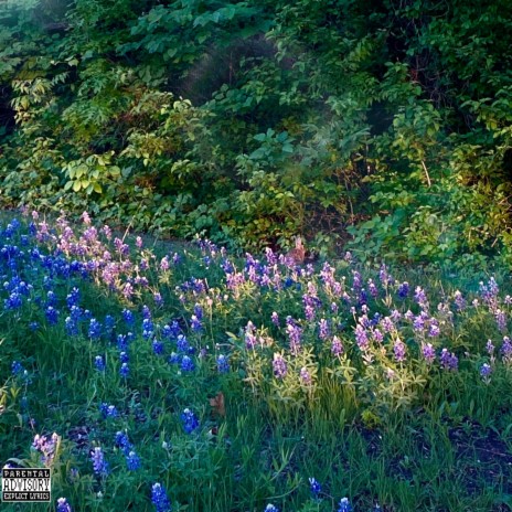 trouble cover art