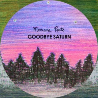 Goodbye Saturn