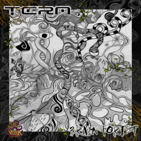 Face The Frames (Original Mix) cover art