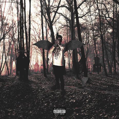 X's & O's cover art