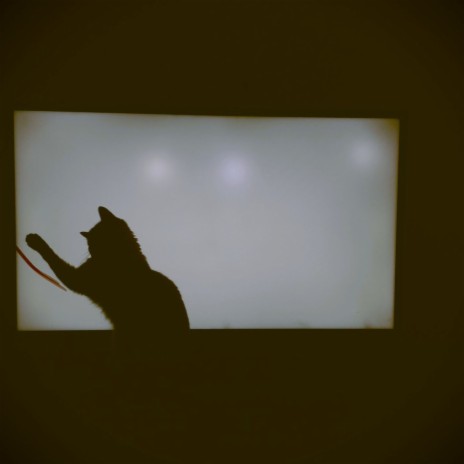 Ping Pong cover art