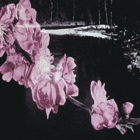 losing to abstinence cover art
