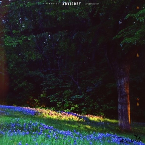a lot on my chest cover art