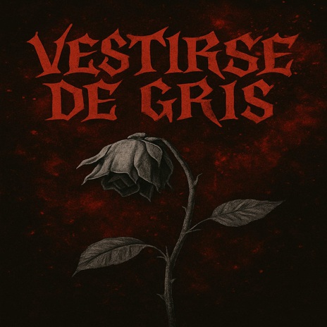 Vestirse de Gris cover art
