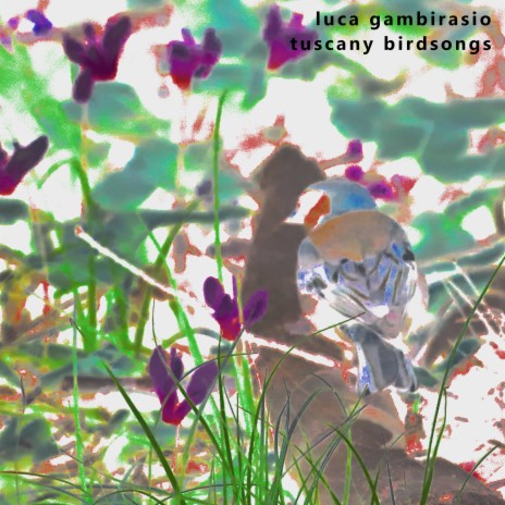 Rigogolo cover art