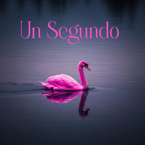 Un Segundo