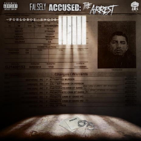 Falsely Accused:The Arrest cover art