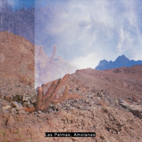 Caminando con el Puma cover art