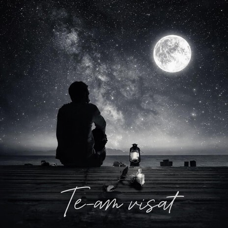 Te-am visat cum mă visai cover art