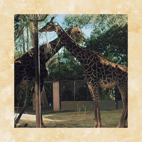 Let's Be Lou Reed At The Zoo cover art