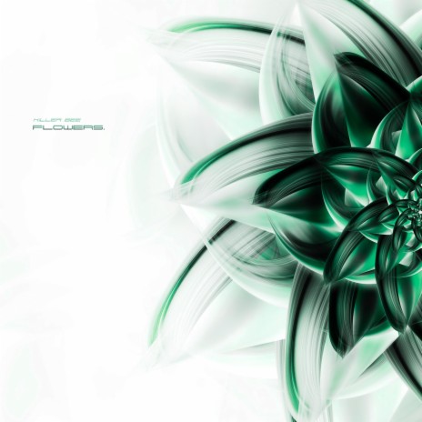 hibiscus cover art