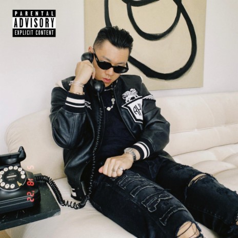 On the phone cover art