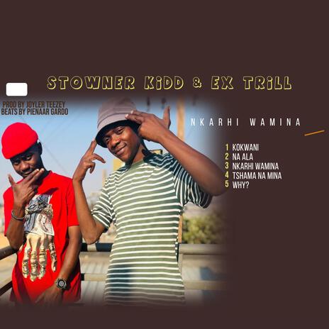 Nkarhi Wamina (Radio Edit) ft. Ex Trill cover art