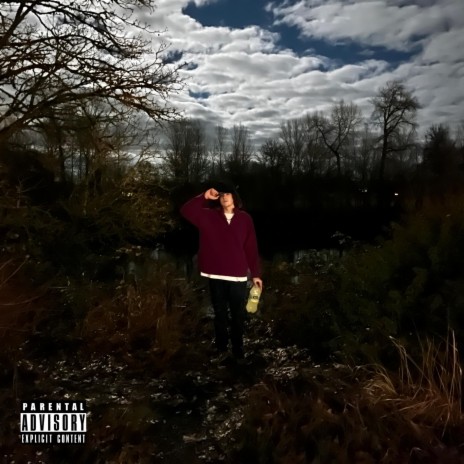Wild cover art