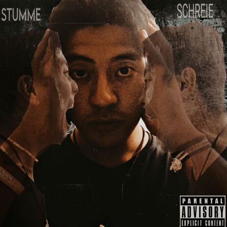 Stumme Schreie cover art