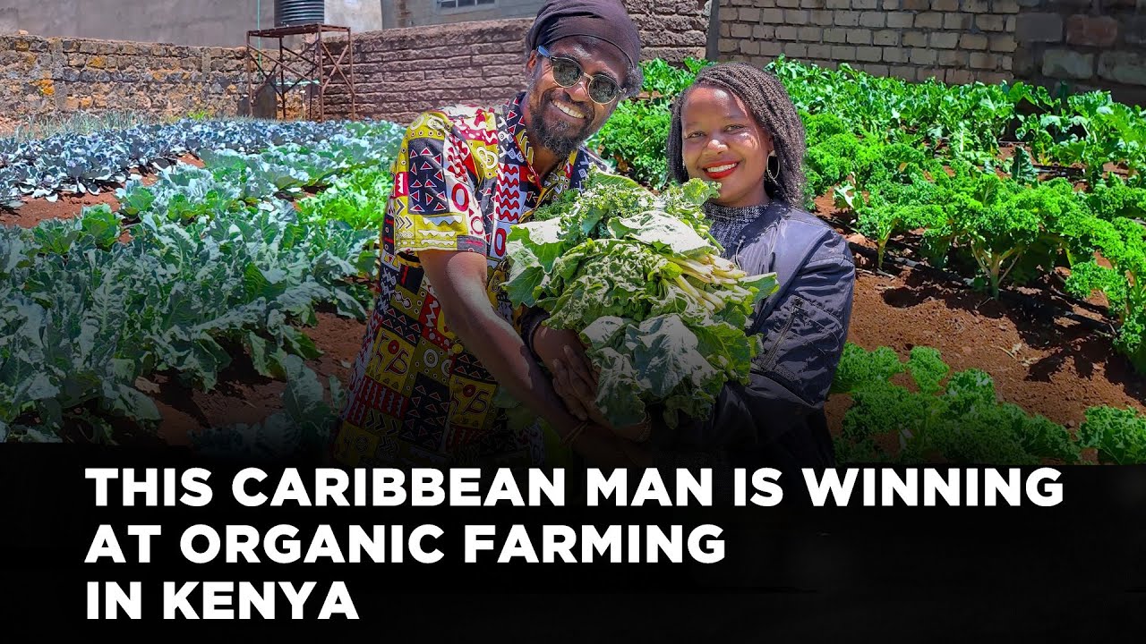 He Rejected Western Food Systems and Now Practices Organic Farming in Kenya | Lynn Ngugi Network  cover art