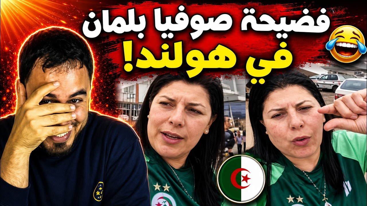 رسميا طرد صوفيا بلمان من فندق في هولندا هل لقجع هو السبب ههه ؟ cover art