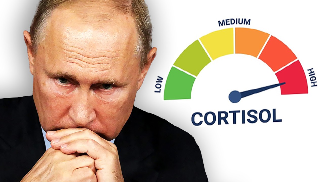 Russians Are Not Happy. cover art