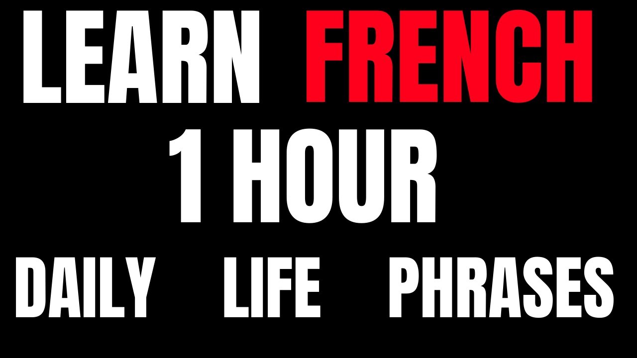 Learn French | French Phrases for Daily Life | 1 Hour French Lesson cover art