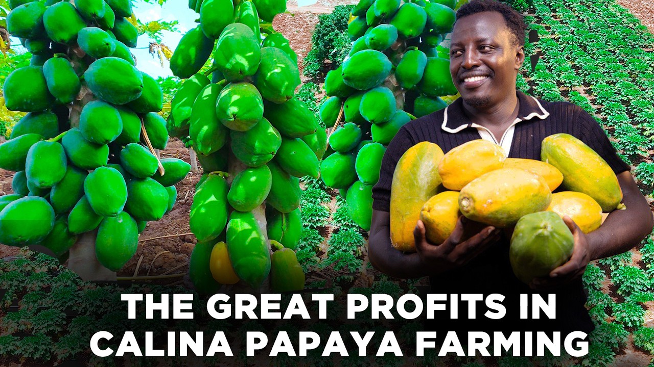 This Young Farmer Turned Failure Into a Farming Empire | LNN