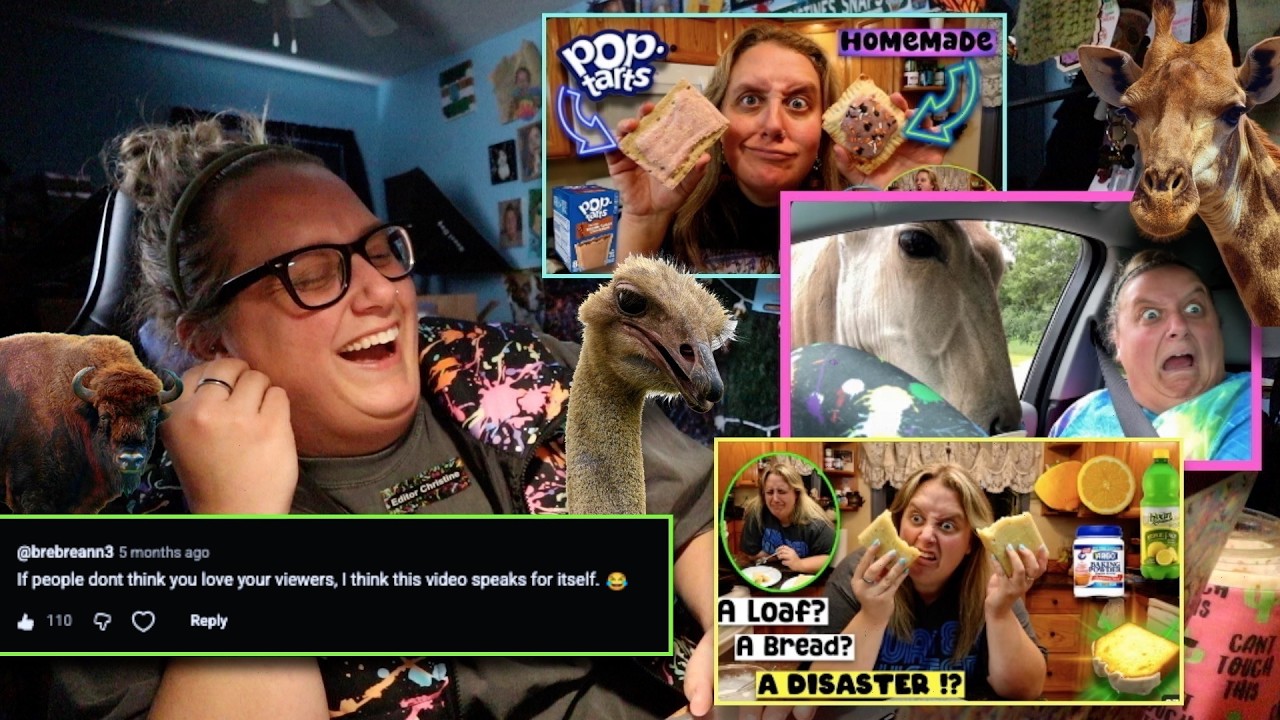 How Did EVERYONE Miss This Video ?! cover art