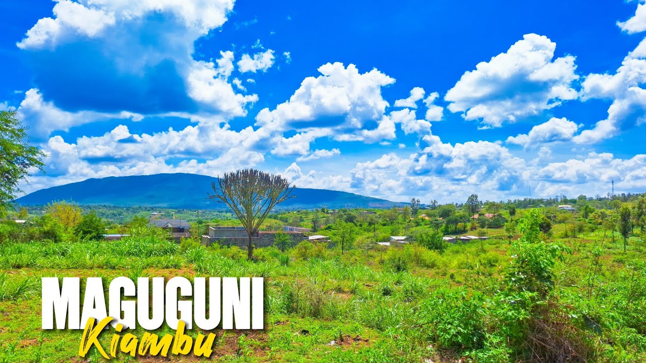 Maguguni: Cheap Land, Beautiful Hills… and Brutal Heat! cover art