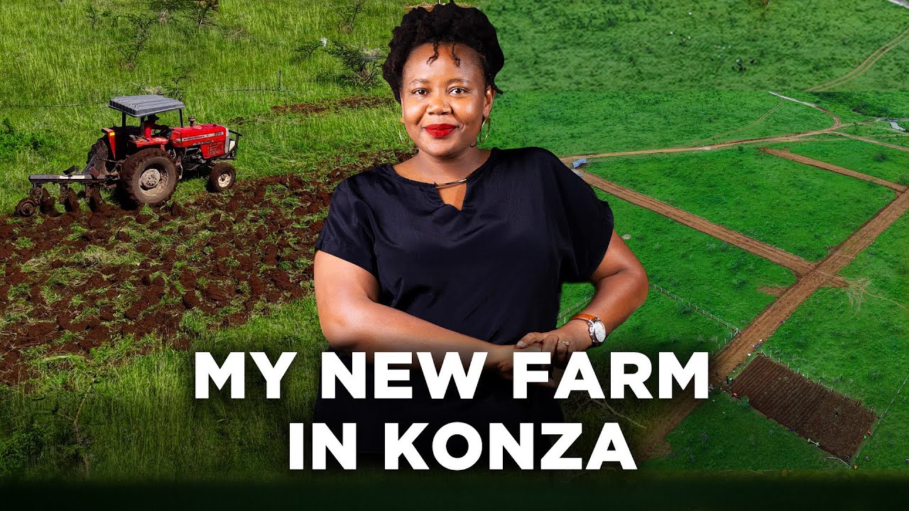 My New Farm in Konza & What You Can Actually Do With a 50x100 Plot By Hekalu | Lynn Ngugi Show cover art