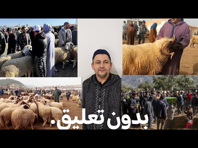 عيد اضحى وصراع الاكباش بين واقع والمواقع cover art