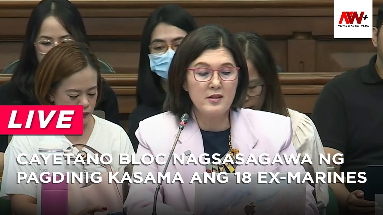 Cayetano-led blue ribbon panel nagsasagawa ng briefing | NewsWatch Live cover art