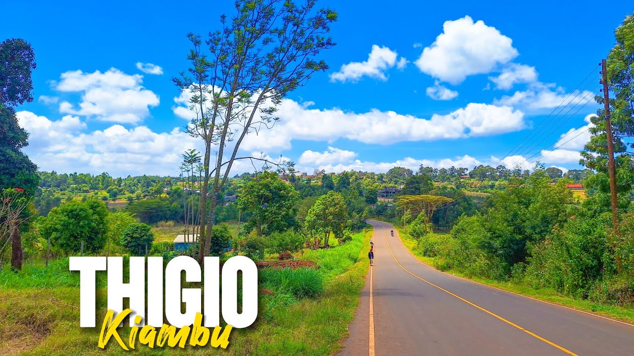Thigio Kiambu — The Untold Story of a Peaceful Farming Town Between Three Counties.🇰🇪 cover art