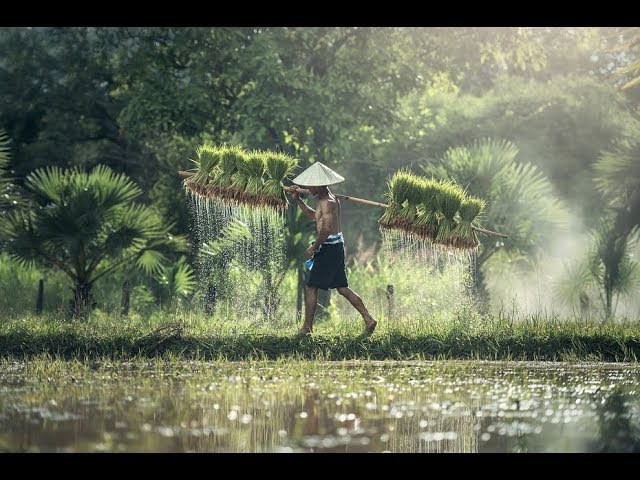 Thailand. Passport to the World. Podcast. cover art