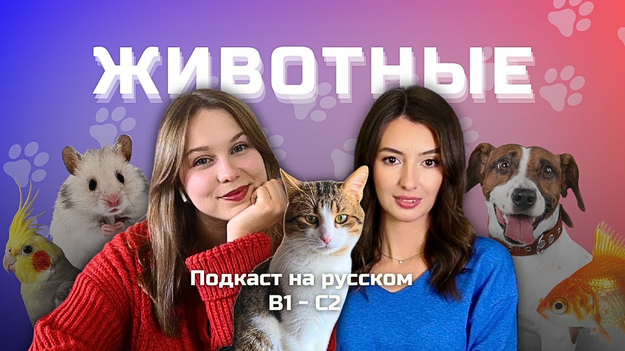 Выпуск 126. Домашние животные. | Подкаст на русском B1-C2 #russianpodcast cover art
