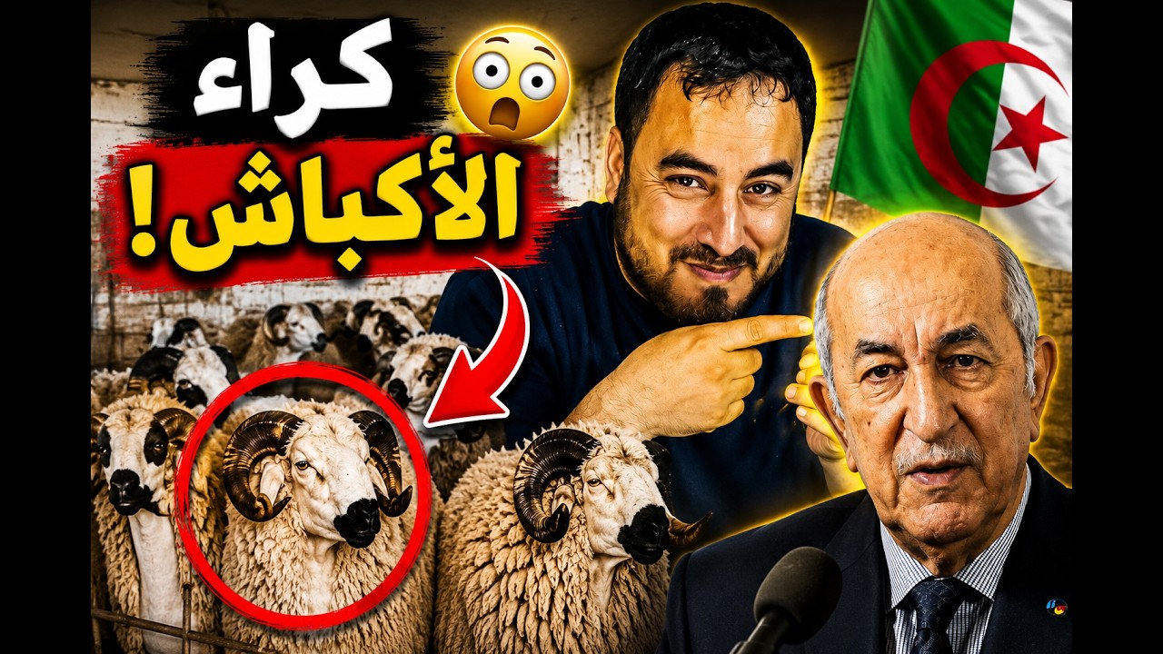 الجزائر تبدأ كراء أكباش العيد والناس مصدومة 😂🐑 cover art