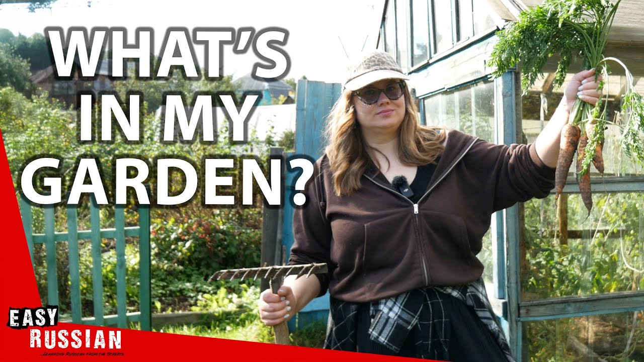 What Russians Do at The Dacha (Countryside)? | Super Easy Russian 51 cover art