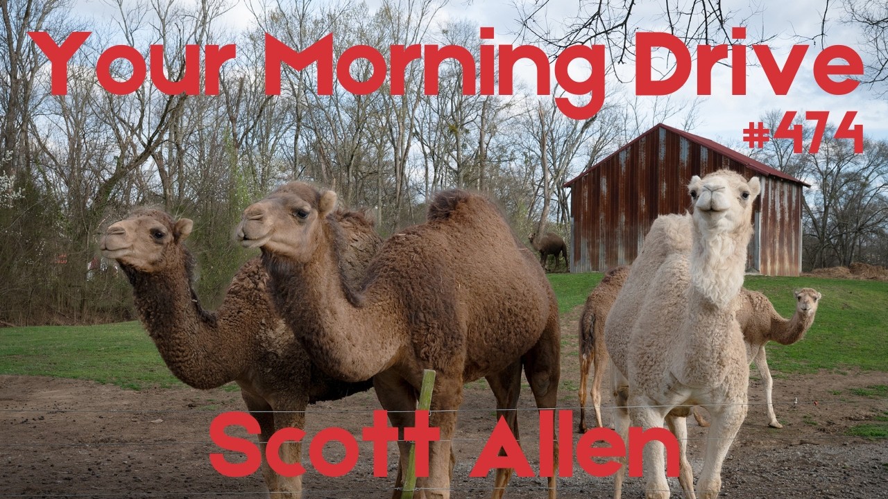 A Story About Raising Zebras, Kangaroos, Giraffes, Cattle, Camels & Family w/ Scott Allen cover art