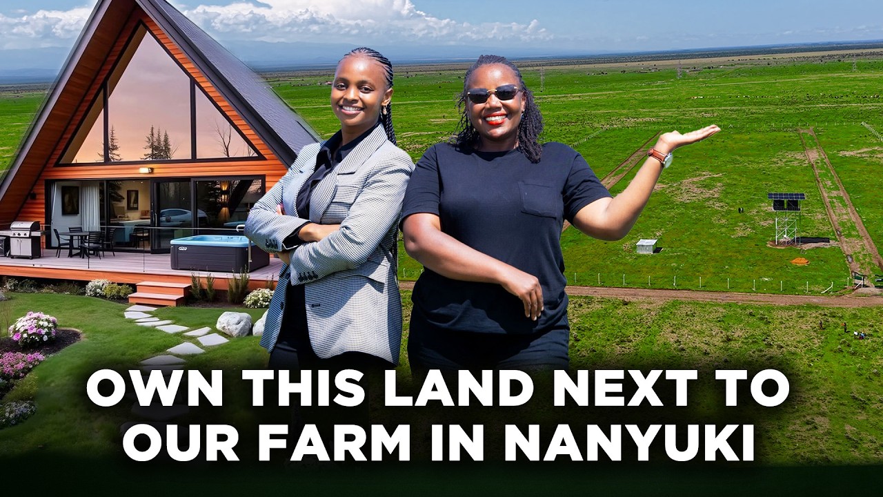 Own This Property Next To Lynn Ngugi’s Farm For Ksh.550k & Start Your Investment Journey | LNN cover art