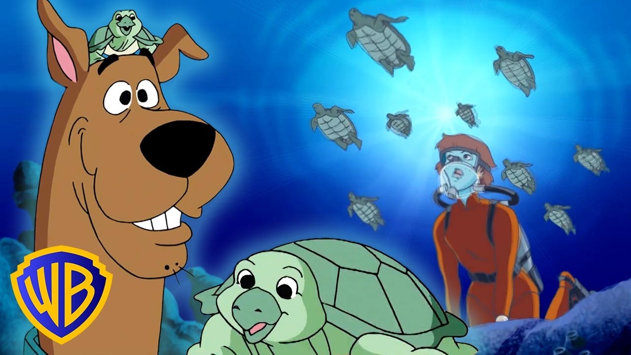 Save the Turtles! 🐢🌎 | What's New, Scooby-Doo? | #KidsCartoons @wbkids​ cover art