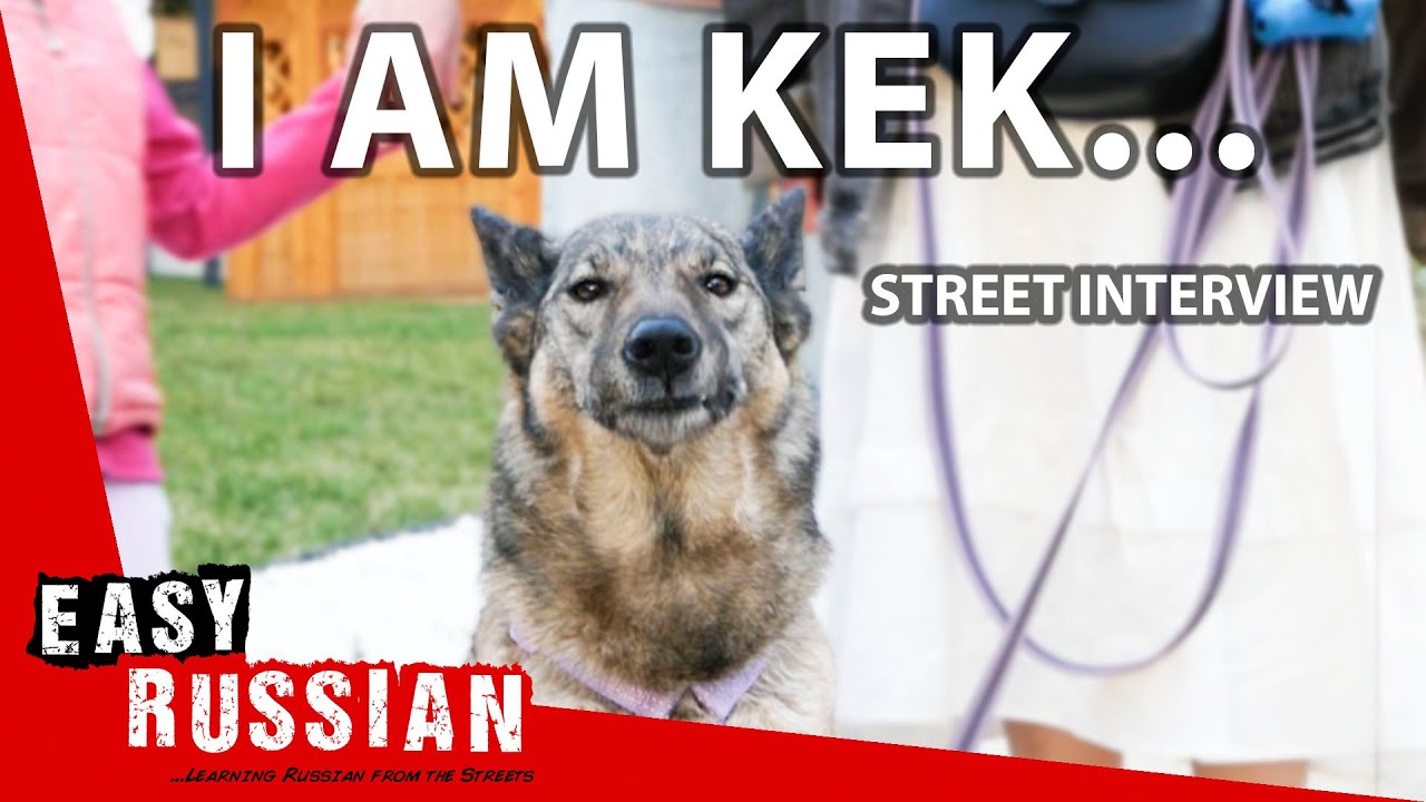 How to Talk About Pets in Russian? | Easy Russian 101 cover art