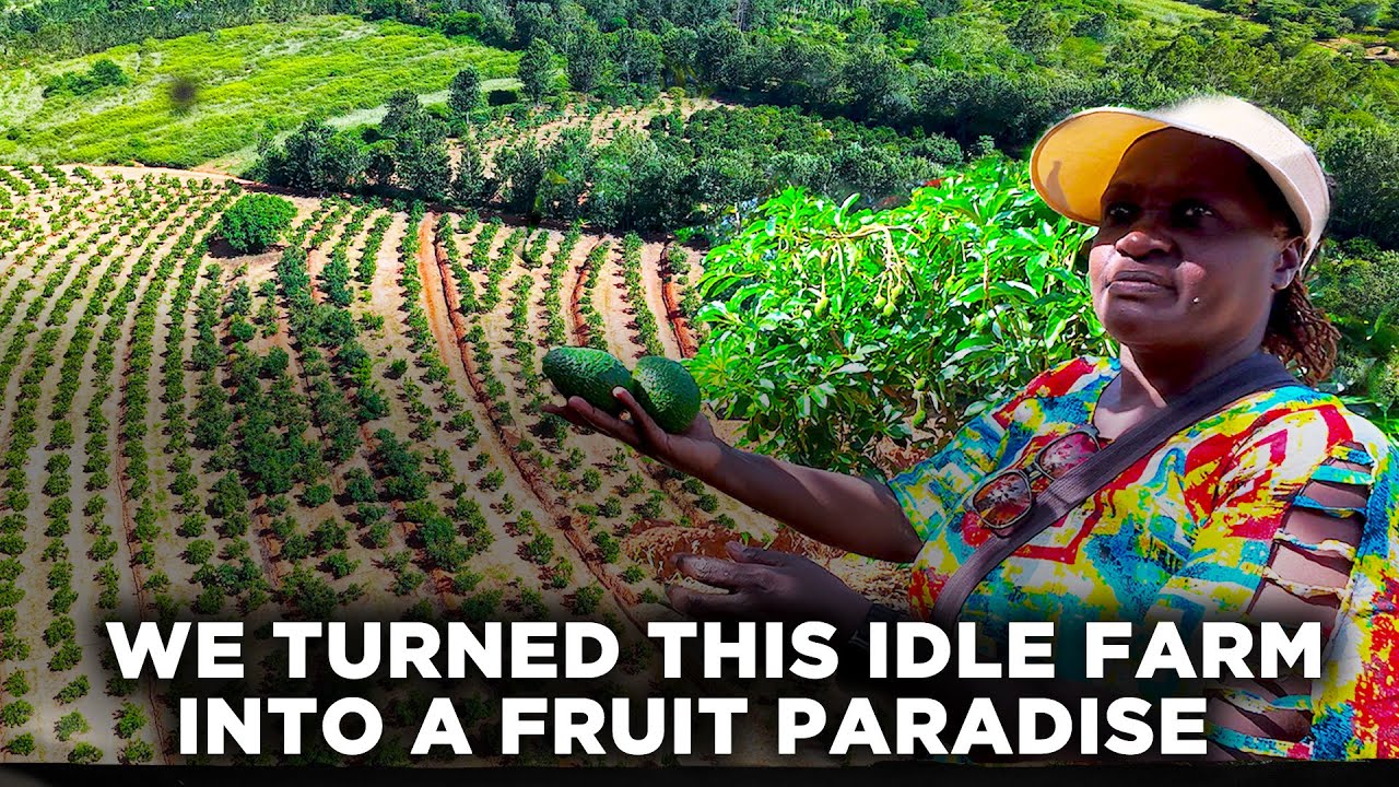 This Family Left Nairobi and Turned Their Idle Farm in Makueni into a Fruit Paradise | Slow Living  cover art