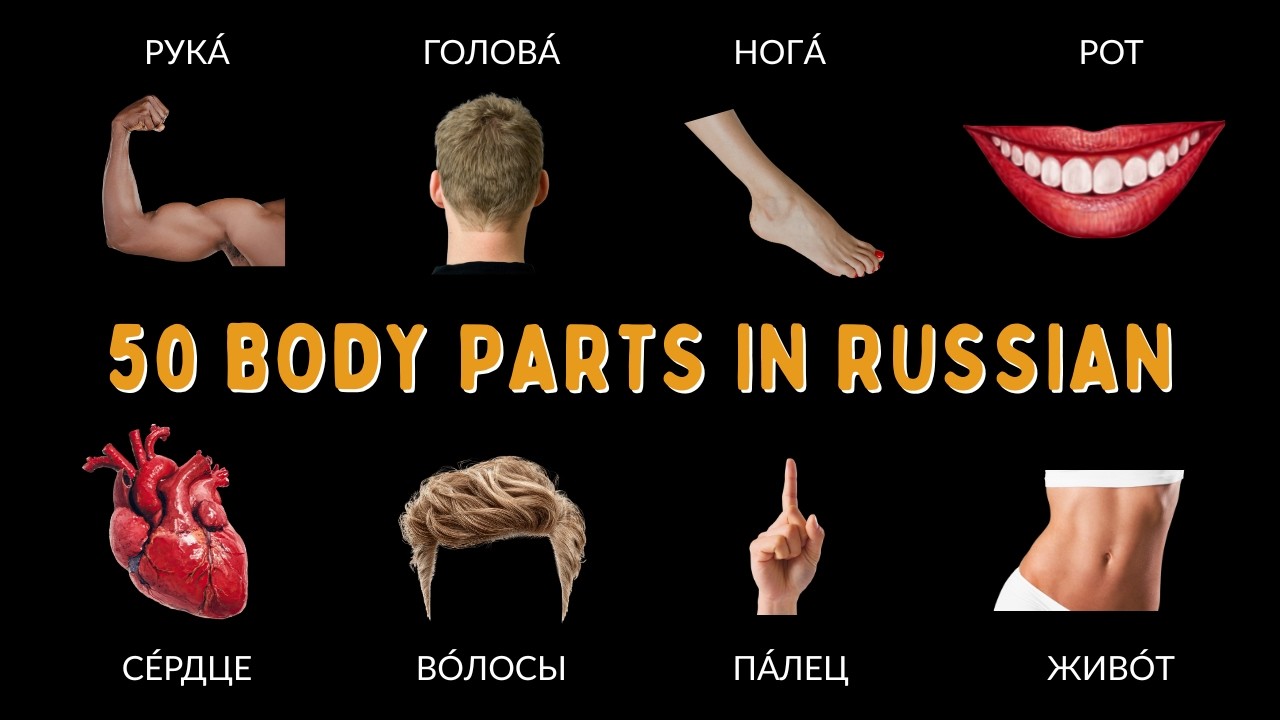 50 Body Parts in Russian | Learn Russian for Absolute Beginners cover art
