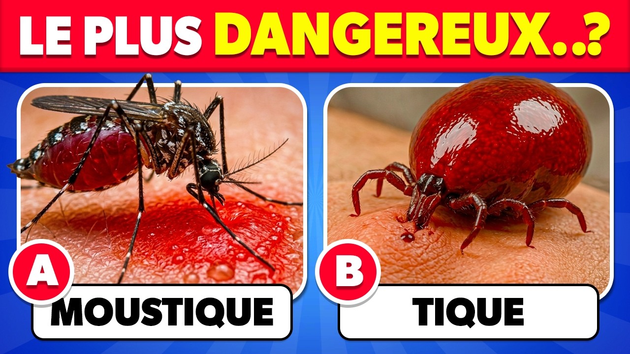 45 Questions sur les Animaux 🐼🐦🐍 | Quiz de Culture Générale cover art