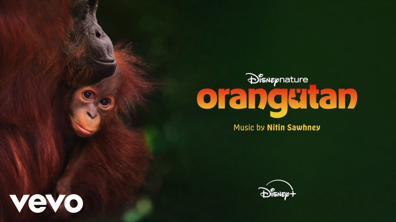 Nitin Sawhney - Follow the Birds (From "Disneynature: Orangutan"/Score/Audio Only) cover art