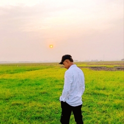 author avatar