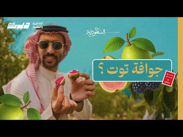 النمر العربي يعيش في الطايف | ديرة بني مالك cover art