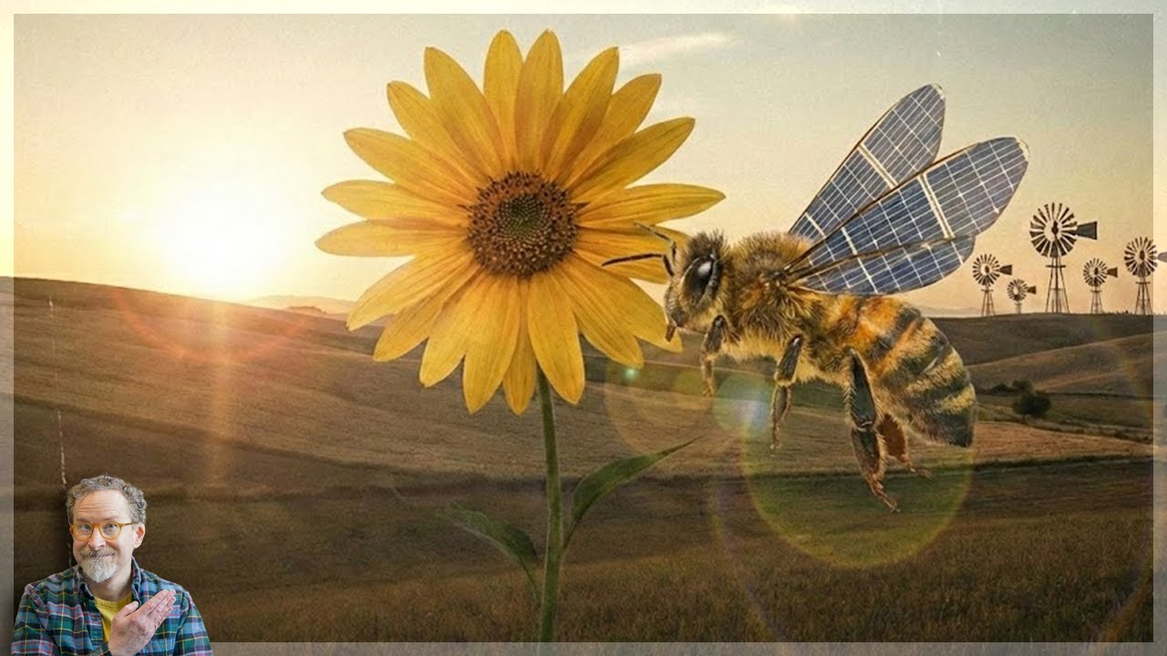 The "Bee" Philosophy: A Buddhist Guide to Sustainable Living cover art