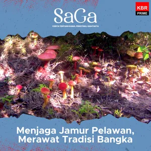 Menjaga Jamur Pelawan, Merawat Tradisi Bangka (Bagian 1) cover art