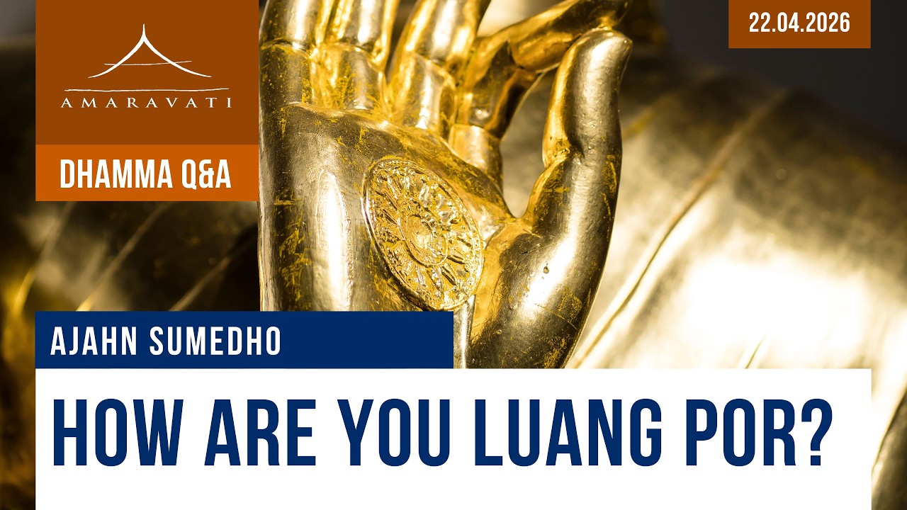 How Are You, Luang Por? | Ajahn Sumedho | 22.04.2026 cover art